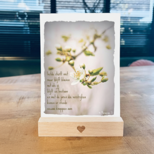 Wenskaart C1. Liefde sterft niet