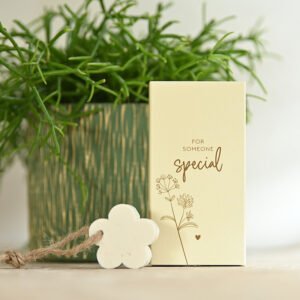 Little giftbox met zeepje